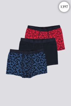1397 Боксеры для мальчика U.S POLO ASSN. v1 СИНИЙ фото 84416