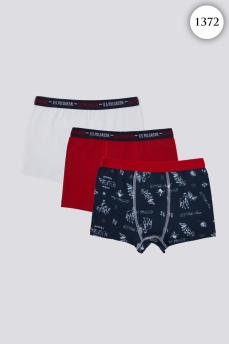 1372 Боксеры для мальчика U.S POLO ASSN. v1 БОРДОВЫЙ-БЕЛЫЙ фото 84411