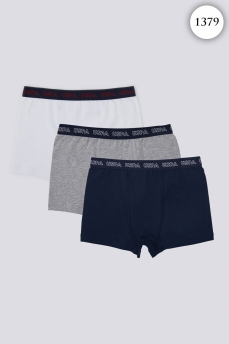 1379 Боксеры для мальчика U.S POLO ASSN. v1 СИНИЙ фото 77010